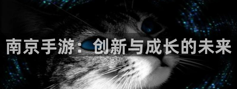 V8娱乐官网：南京手游：创新与成长的未来
