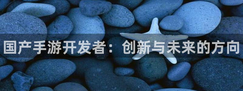 V8娱乐网：国产手游开发者：创新与未来的方向