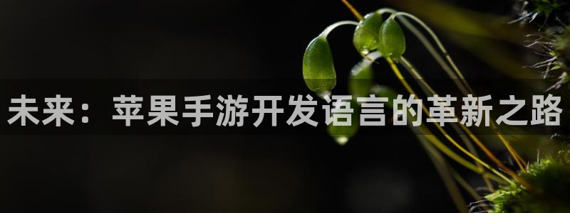V8娱乐登录：未来：苹果手游开发语言的革新之路