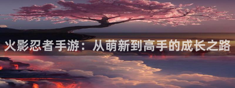 V8娱乐平台：火影忍者手游：从萌新到高手的成长之路