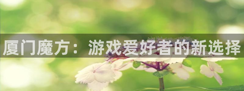 V8娱乐官网：厦门魔方：游戏爱好者的新选择