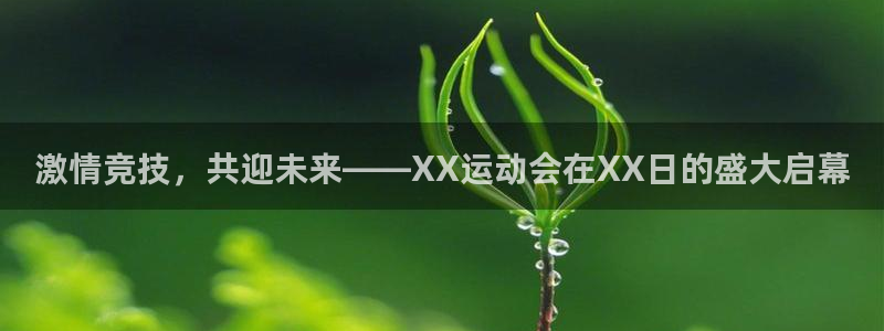 球王会体育：激情竞技，共迎未来——XX运动会在XX日的盛大启幕