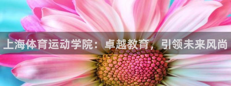 球王会体育：上海体育运动学院：卓越教育，引领未来风尚