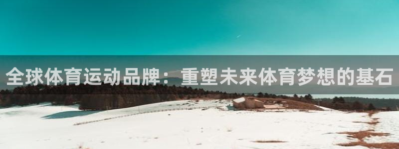 球王会体育：全球体育运动品牌：重塑未来体育梦想的基石