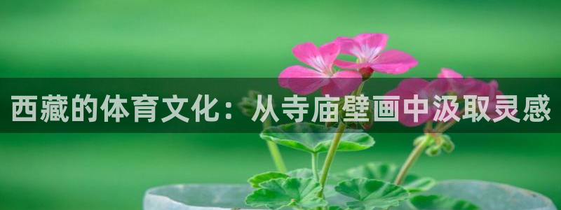球王会体育：西藏的体育文化：从寺庙壁画中汲取灵感