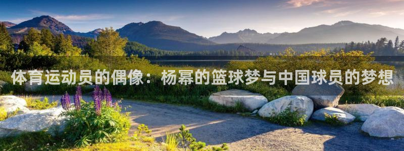 球王会体育