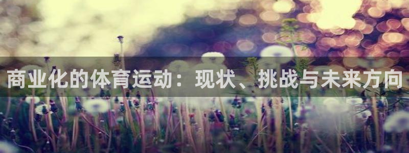 球王会体育：商业化的体育运动：现状、挑战与未来方向