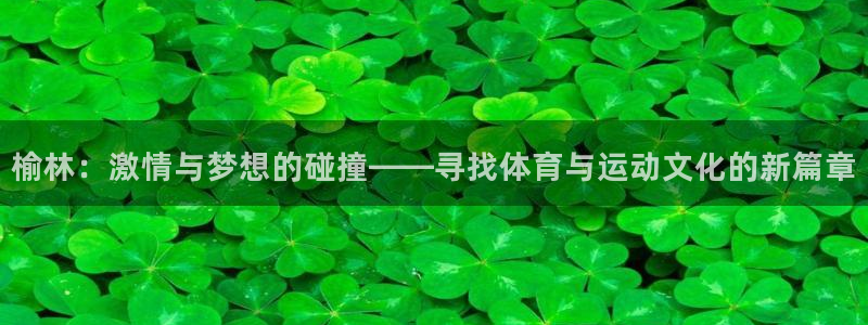 球王会体育：榆林：激情与梦想的碰撞——寻找体育与运动文化的新篇章